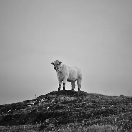 Apartmán The Old Post Office Home, Dunmore *