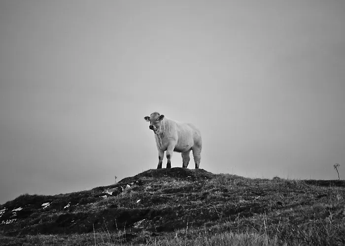 Appartamento The Old Post Office Home, Dunmore *